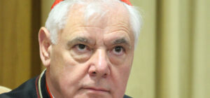 Cardenal Müller: analiza los recientes acontecimientos en los que el Vaticano ha pedido que no se vote el “Comité sinodal”