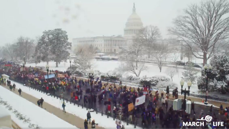Decenas de miles desafian el frio para participar en la 51a Marcha Anual por la Vida en Washington D.C