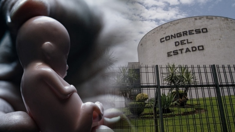 VidaFamilia cuestiona al Congreso de Veracruz por anteponer agendas ideologicas