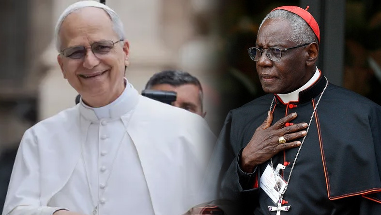 El Papa León XIV recibe en audiencia al cardenal Robert Sarah en el Vaticano 4 El Papa Leon XIV recibe en audiencia al cardenal Robert Sarah en el Vaticano