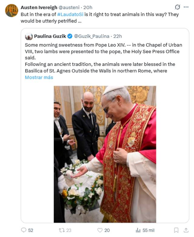 El vaticanista Ivereigh critica que León XIV «incumpla» la encíclica Laudato Si 3 image 1